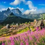 Highlander-style 자코파네